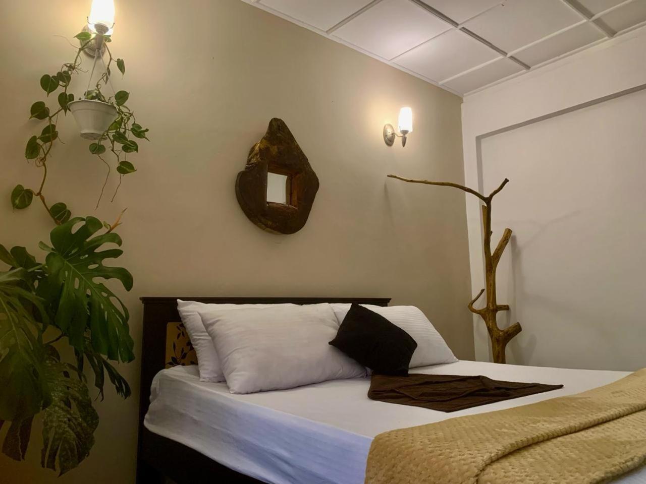 Ella Gypsies Hostel المظهر الخارجي الصورة