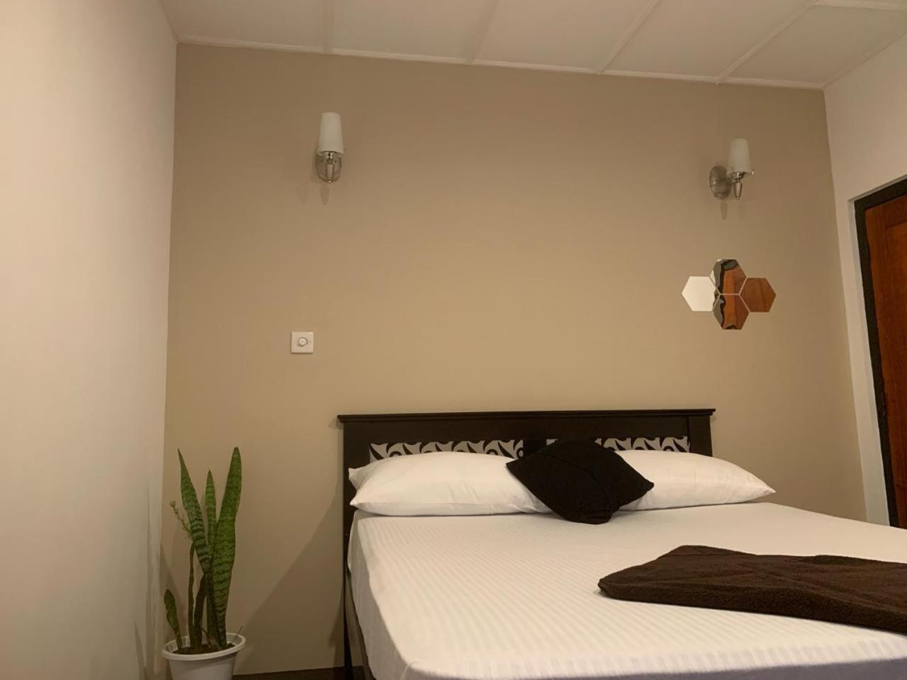 Ella Gypsies Hostel المظهر الخارجي الصورة
