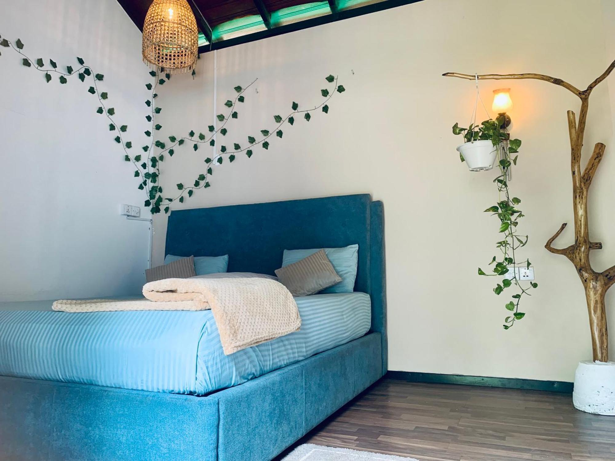 Ella Gypsies Hostel المظهر الخارجي الصورة