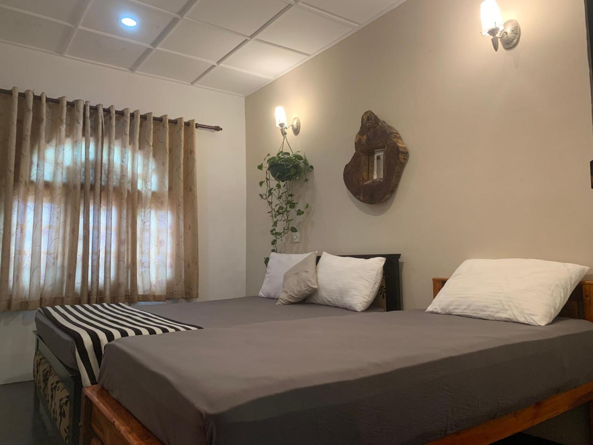 Ella Gypsies Hostel المظهر الخارجي الصورة