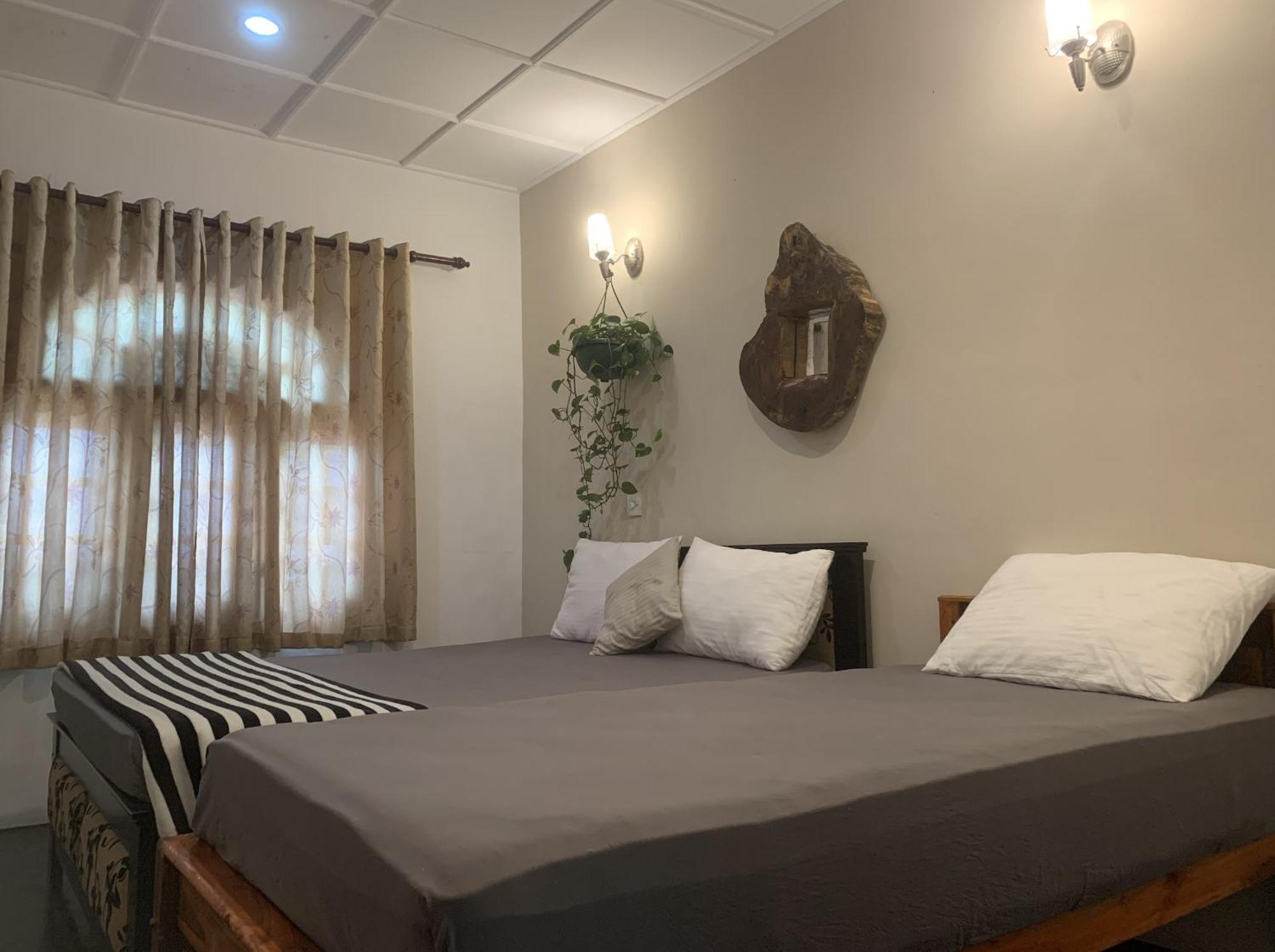 Ella Gypsies Hostel المظهر الخارجي الصورة